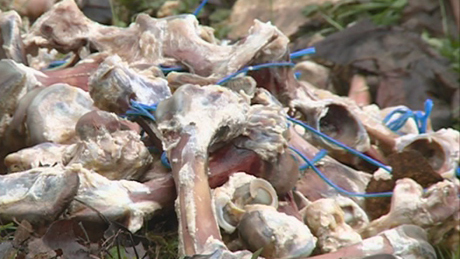 Szétszórt csontok sokkolják a somogyi falu lakóit