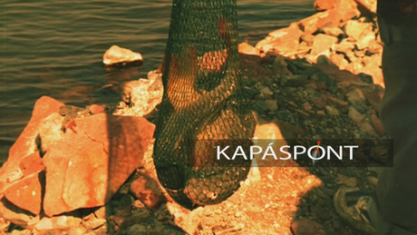 Kapáspont 2014. június 5.