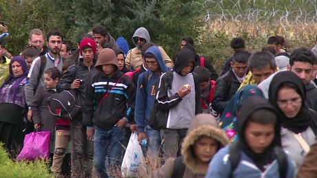 Több mint 20 ezer migráns érkezett Somogyba