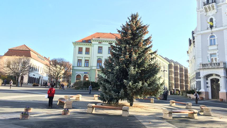 Már áll a karácsonyfa a Kossuth téren