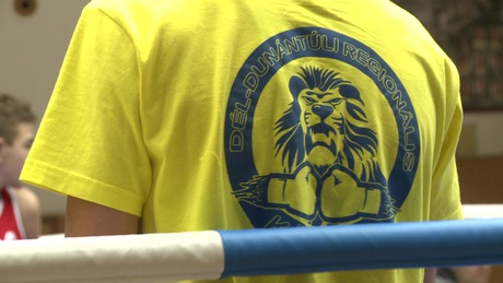 Remekeltek a kaposvári bokszolók