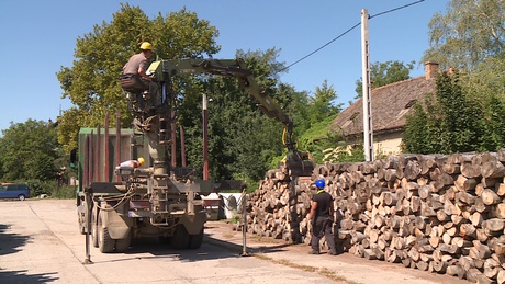 Indul a szociális tűzifa program