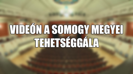 Somogy megyei tehetséggála - 2017