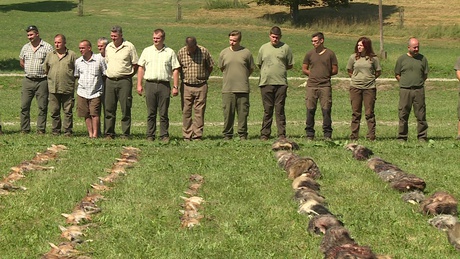 Másfélszáz ragadozót ejtettek el a vadászok