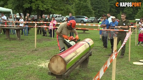 Motorfűrészek párbaja