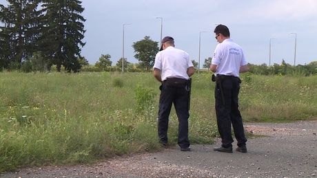 Kaposváron is fokozódik a pollenhelyzet