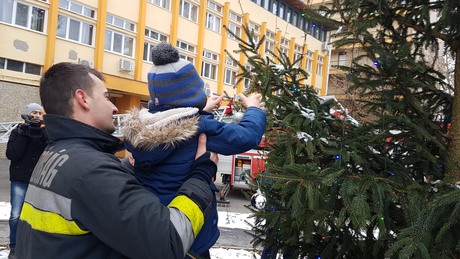 Ovisok a laktanyában