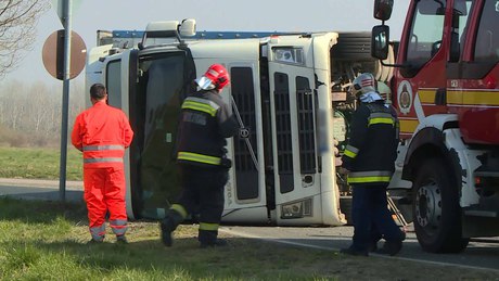 Felborult egy sertésszállító kamion a 61-esen 