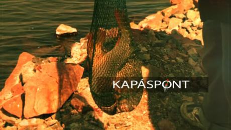 Kapáspont 2019 október 31.