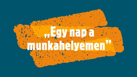 Egy nap a munkahelyemen - a Toldi Lakótelepi Tagiskola kisfilmje