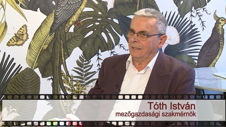 Kapos TV 30: beszélgetés Tóth Istvánnal