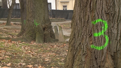 Nyár elejére teljesen megújul a kaposvári színházpark