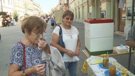 Elkezdődött a XIV. Mézfesztivál