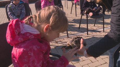 Mozgó állatkert látogatott a Pécsi utcába