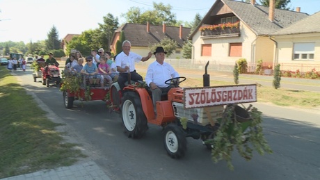 Szüreti Fesztivál Tabon