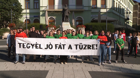 Tegyél jó fát a tűzre!